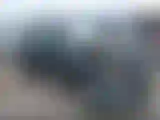 Vehicle Image- 2008 Nissan Xterra