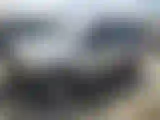 Vehicle Image- 2006 Nissan Xterra