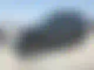 Vehicle Image- 2008 Nissan Xterra