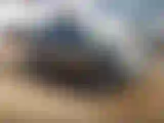 Vehicle Image- 2005 Nissan Xterra