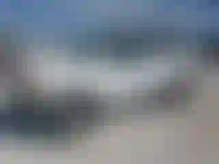 Vehicle Image- 2005 Nissan Xterra