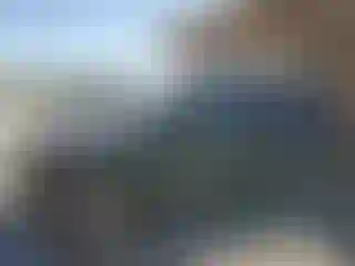Vehicle Image- 2006 Nissan Xterra