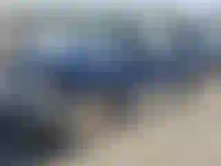 Vehicle Image- 2006 Nissan Xterra