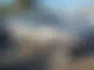 Vehicle Image- 2007 Nissan Xterra