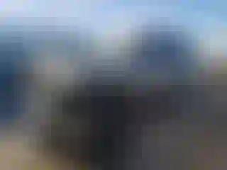 Vehicle Image- 2008 Nissan Xterra