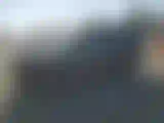 Vehicle Image- 2007 Nissan Xterra