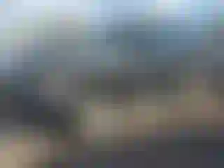 Vehicle Image- 2008 Nissan Xterra