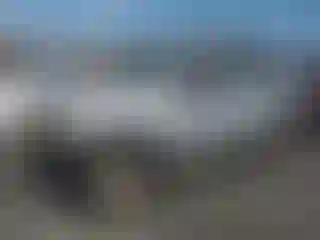 Vehicle Image- 2005 Nissan Xterra