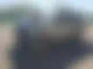 Vehicle Image- 2008 Nissan Xterra