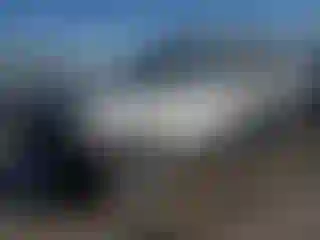 Vehicle Image- 2005 Nissan Xterra