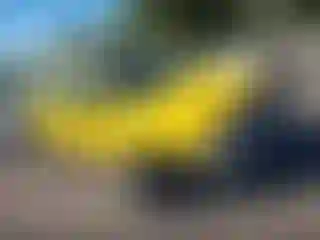 Vehicle Image- 2006 Nissan Xterra
