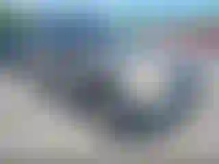 Vehicle Image- 2006 Nissan Xterra
