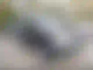 Vehicle Image- 2006 Nissan Xterra