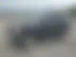 Vehicle Image- 2007 Nissan Xterra
