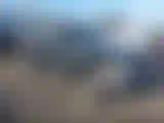 Vehicle Image- 2008 Nissan Xterra