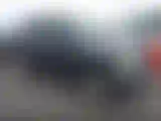 Vehicle Image- 2008 Nissan Xterra