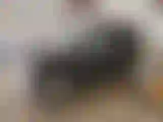 Vehicle Image- 2008 Nissan Xterra