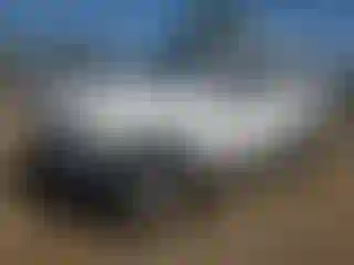 Vehicle Image- 2009 Nissan Xterra