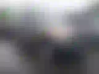 Vehicle Image- 2005 Nissan Xterra