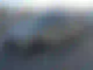 Vehicle Image- 2008 Nissan Xterra