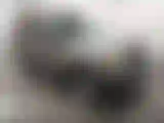 Vehicle Image- 2008 Nissan Xterra