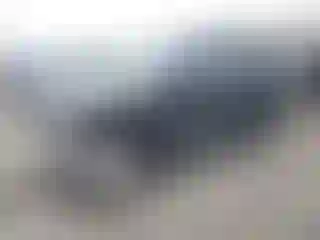 Vehicle Image- 2006 Nissan Xterra