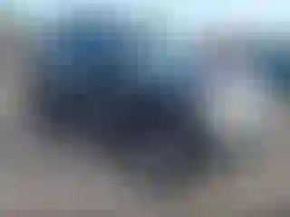 Vehicle Image- 2008 Nissan Xterra