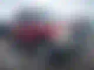 Vehicle Image- 2008 Nissan Xterra