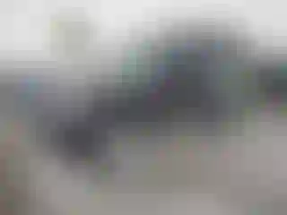 Vehicle Image- 2006 Nissan Xterra