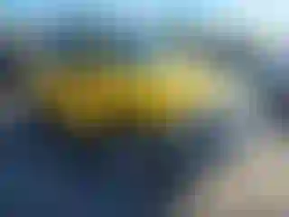 Vehicle Image- 2007 Nissan Xterra