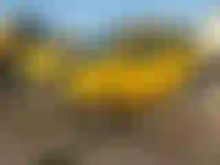 Vehicle Image- 2008 Nissan Xterra