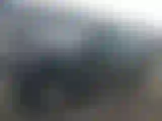 Vehicle Image- 2008 Nissan Xterra