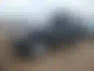 Vehicle Image- 2005 Nissan Xterra