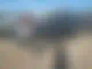 Vehicle Image- 2006 Nissan Xterra