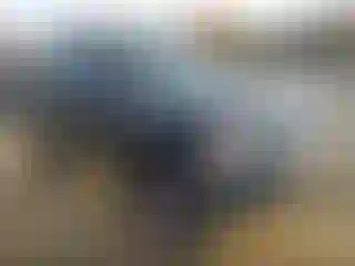 Vehicle Image- 2007 Nissan Xterra