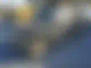 Vehicle Image- 2012 Nissan Xterra