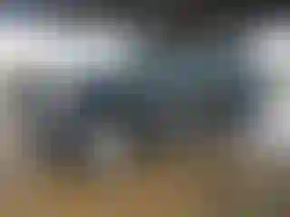 Vehicle Image- 2012 Nissan Xterra