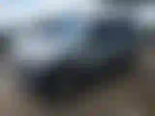 Vehicle Image- 2014 Nissan Xterra