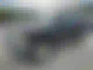 Vehicle Image- 2010 Nissan Xterra