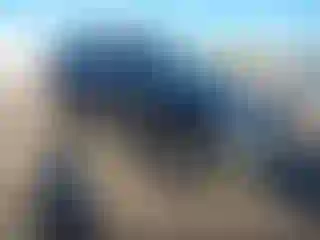 Vehicle Image- 2010 Nissan Xterra