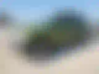 Vehicle Image- 2011 Nissan Xterra