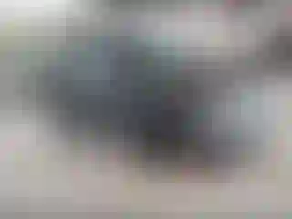 Vehicle Image- 2013 Nissan Xterra