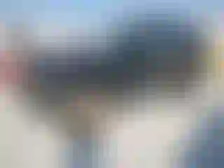 Vehicle Image- 2011 Nissan Xterra