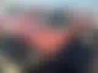 Vehicle Image- 2011 Nissan Xterra