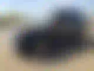 Vehicle Image- 2013 Nissan Xterra