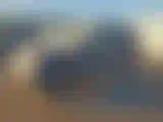 Vehicle Image- 2012 Nissan Xterra