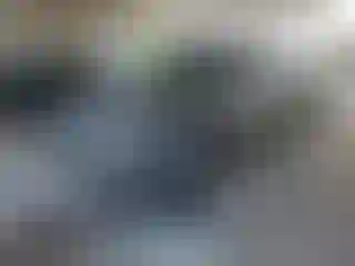 Vehicle Image- 2012 Nissan Xterra