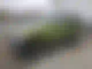 Vehicle Image- 2011 Nissan Xterra