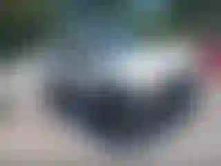 Vehicle Image- 2013 Nissan Xterra