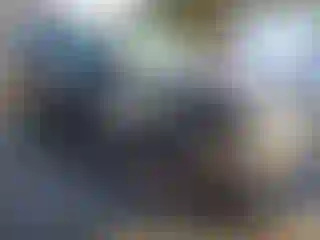 Vehicle Image- 2009 Nissan Pathfinder